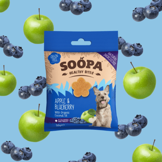 SOOPA Healthy Bites Apple & Blueberry 50g