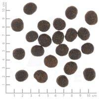 WOLFSBLUT, VetLine, Joint Care