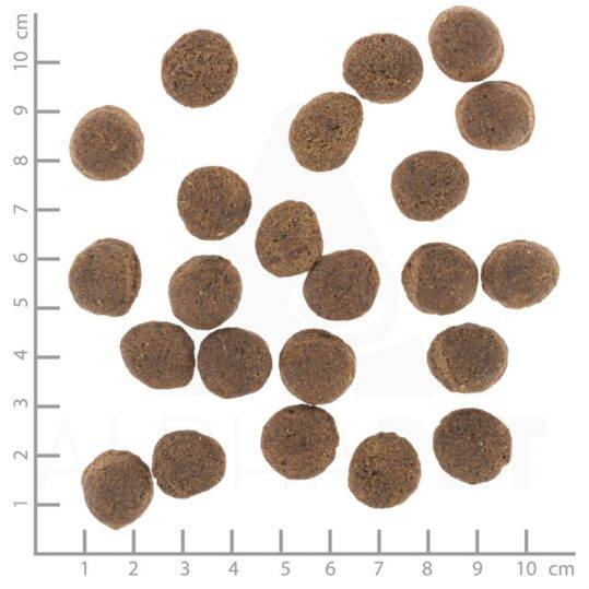 WOLFSBLUT, VetLine, Gastrointestinal