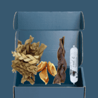 Snackbox