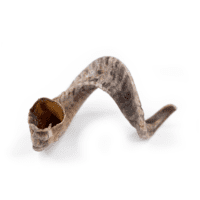 Snack'it Lammehorn Medium i foile