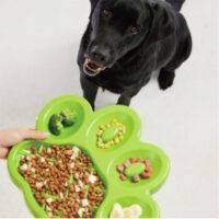 PAW Slow Feeder Easy
