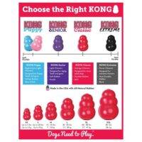 Kong Classic