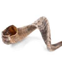 Snack'it Lammehorn Medium i foile