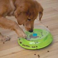 Nina Ottosson Wobble Bowl