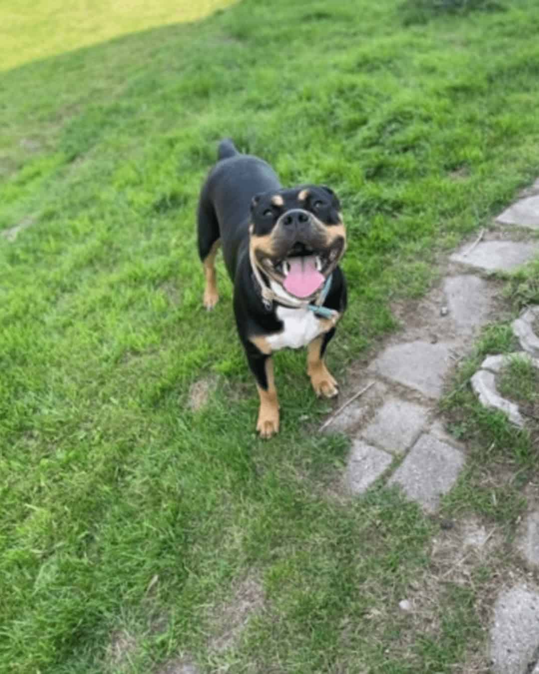 Chloe
