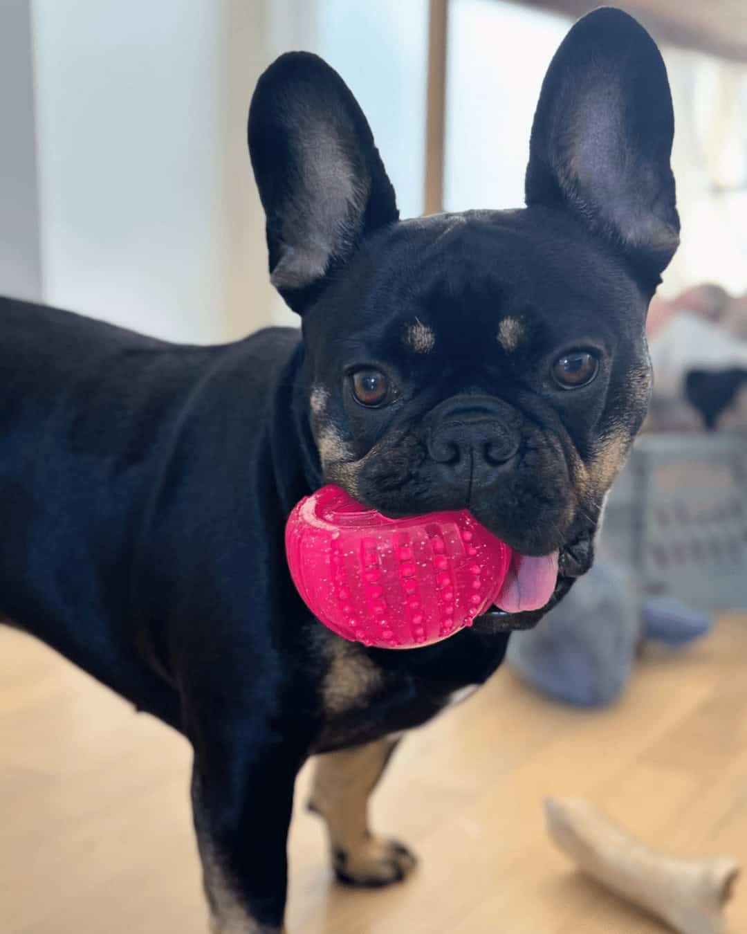 Coco