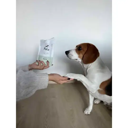 Pala Treats – 100% And 100g
