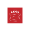 Active Canis
