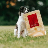 Essential Foods – The Beginning Small Breed 2,5 kg